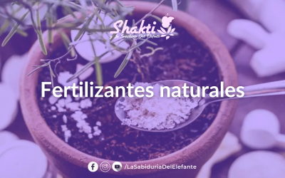 Receta- Los mejores Fertilizantes naturales para tus plantas.