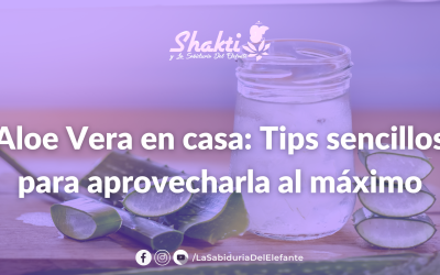 La magia curativa de la Sábila (Aloe Vera)