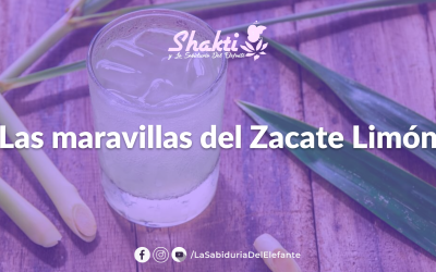 Receta- Las Maravillas del Zacate Limón